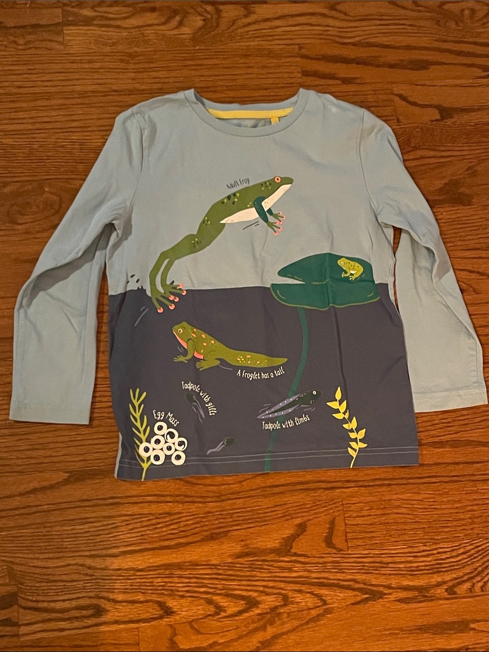 Mini Boden Long-Sleeve Frog Graphic Tee - Light Blue & Navy